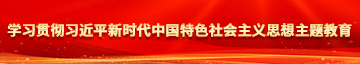 暴操白虎学习贯彻习近平新时代中国特色社会主义思想主题教育